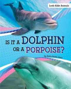 Is It a Dolphin or a Porpoise? - Amin, Anita Nahta