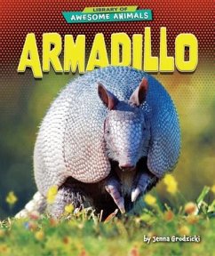 Armadillo - Grodzicki, Jenna
