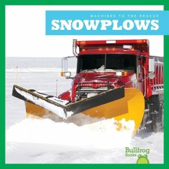 Snowplows - Harris, Bizzy