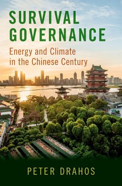 Survival Governance (eBook, PDF) Cover Survival Governance (eBook, PDF)