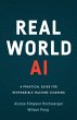 Real World AI (eBook, ePUB) - Bild 1