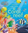 Peep inside a Coral Reef - Bild 1