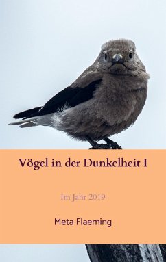 Cover Vögel in der Dunkelheit I