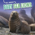 All about Baby Sea Lions