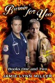 Burnin' for You (eBook, ePUB)