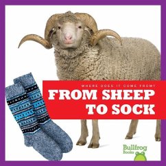 From Sheep to Sock - Toolen, Avery