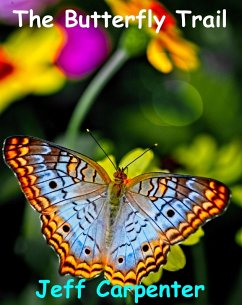 Cover The Butterfly Trail (eBook, ePUB)