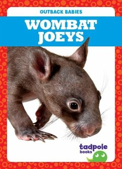 Wombat Joeys - Nilsen, Genevieve
