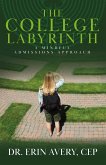 The College Labyrinth (eBook, ePUB)