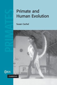 Primate and Human Evolution - Cachel, Susan