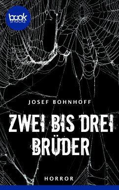 Zwei bis drei Brüder (eBook, ePUB) - Bohnhoff, Josef