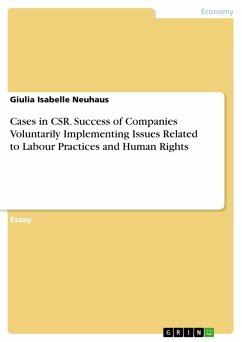 Cases in CSR. Success of Companies Voluntarily Implementing Issues Related to Labour Practices and Human Rights (eBook, PDF)