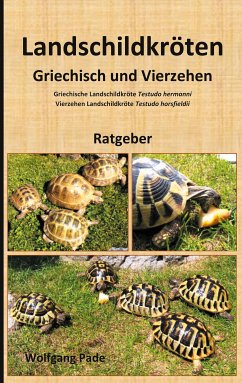 Landschildkröten Griechisch und Vierzehen (eBook, ePUB) - Pade, Wolfgang
