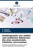 Antibiogramm von wilden und mutierten Bakterien, die eine nosokomiale Infektion verursachen