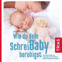 Wie du dein Schreibaby beruhigst (MP3-Download) - Zschocher, Andrea