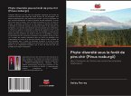 Phyto-diversité sous la forêt de pins chir (Pinus roxburgii)