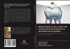 Morphologie du tiers apical des molaires permanentes par la technique de la clairière