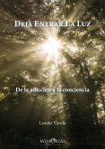 Deja entrar la luz (eBook, ePUB)