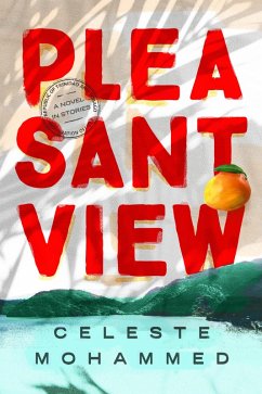Cover Pleasantview (eBook, ePUB)