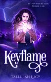 Keyflame (eBook, ePUB)