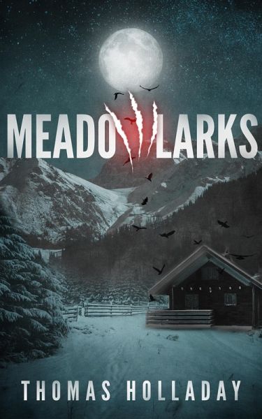 Meadowlarks (eBook, ePUB)