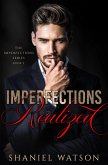Imperfections Realized (The Imperfection Series, #3) (eBook, ePUB)
