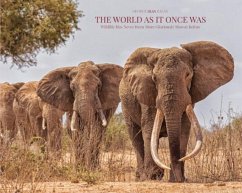 Cover The World As It Once Was