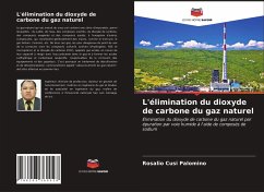 L'élimination du dioxyde de carbone du gaz naturel - Cusi Palomino, Rosalio