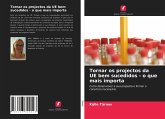 Tornar os projectos da UE bem sucedidos - o que mais importa