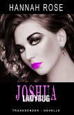 Joshua - Ladybug (eBook, ePUB)