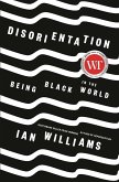 Disorientation (eBook, ePUB)