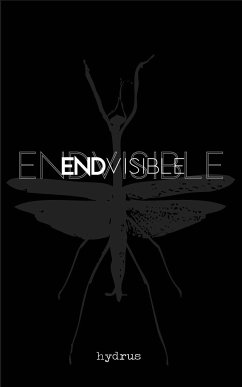 ENDVISIBLE - Hydrus