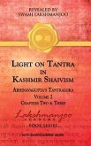 Light on Tantra in Kashmir Shaivism - Volume 2 (eBook, ePUB)