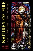 Natures of Fire: God's Magnificent Angels (eBook, ePUB)