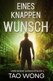 Eines Knappen Wunsch (eBook, ePUB)