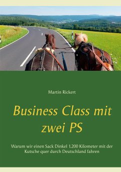Business Class mit zwei PS - Rickert, Martin