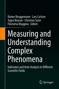 Measuring and Understanding Complex Phenomena (eBook, PDF)