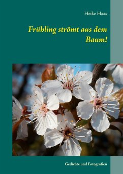 Frühling strömt aus dem Baum! - Haas, Heike