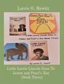 Little Lorrie Lincoln Goes To James and Pearl's Zoo (Book Three) (eBook, ePUB)