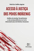 Acesso à Justiça dos Povos Indígenas (eBook, ePUB)