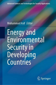 Energy and Environmental Security in Developing Countries (eBook, PDF)