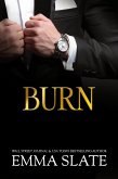 Burn (SINS Series, #6) (eBook, ePUB)