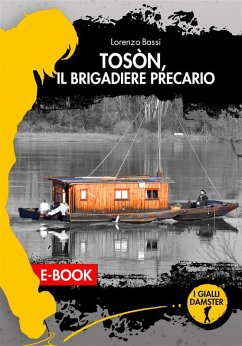 Cover Toson, il brigadiere precario (eBook, ePUB)
