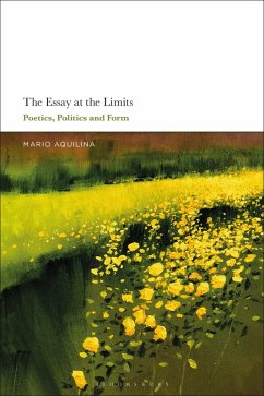 The Essay At the Limits (eBook, ePUB)