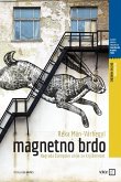 Magnetno brdo (eBook, ePUB)