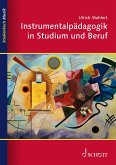 Instrumentalpädagogik in Studium und Beruf (eBook, ePUB)