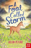A Foal Called Storm (eBook, ePUB)