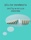 Zyklus einer Unternehmenskrise (eBook, ePUB)