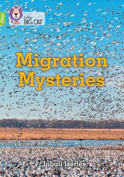 Migration Mysteries Migration Mysteries