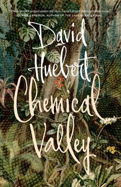 Chemical Valley (eBook, ePUB) - Huebert, David